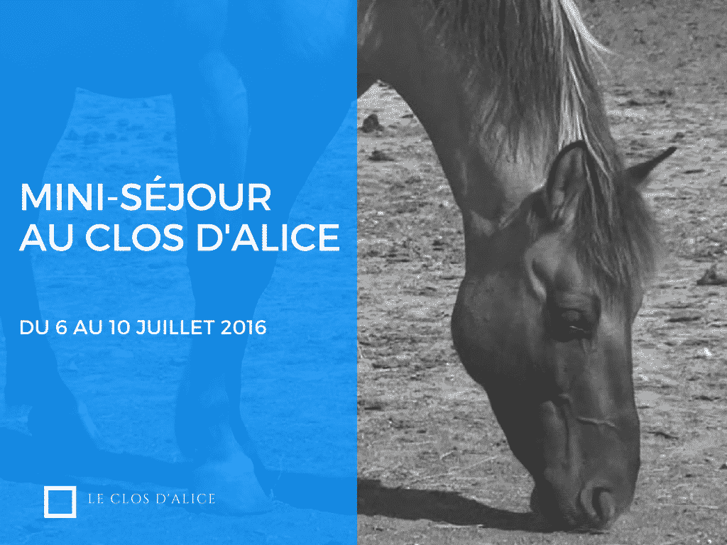 Des mini-séjours de 5 jours au Clos d&rsquo;Alice !