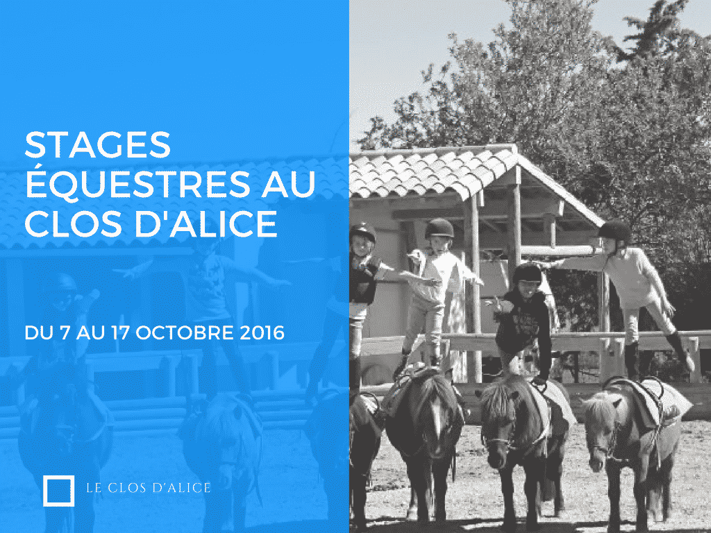 mini séjour au clos d'alice