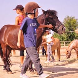 equitation enfants en colo au Clos d'Alice