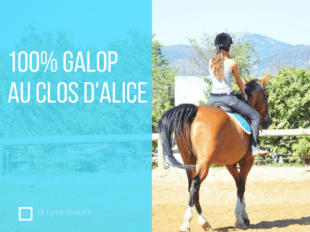 Le séjour qui commence au Galop au Clos d&rsquo;Alice