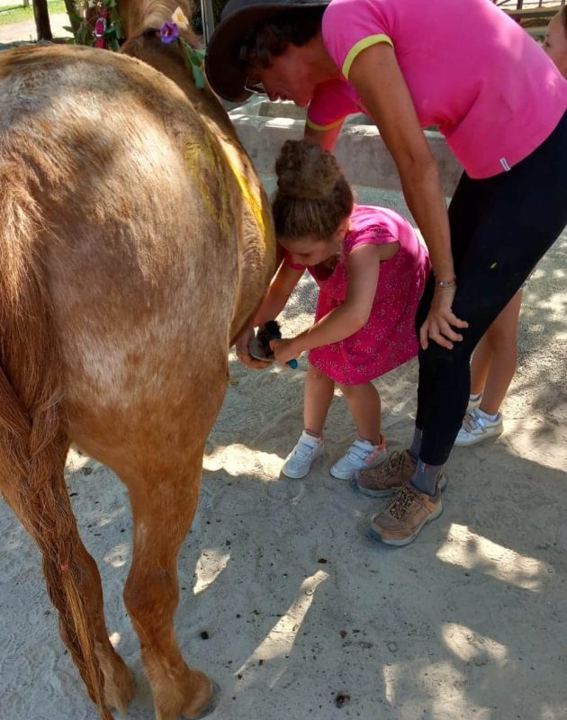 Accompagnement soins aux poneys séjour équestre enfants 6-9 ans dans l'Hérault