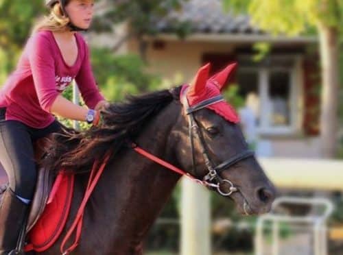 séjour équestre Poney Hérault