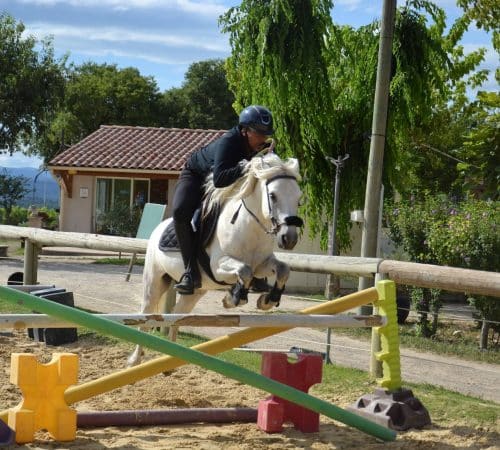 Travail coordination séjour équestre enfants dans l'Hérault