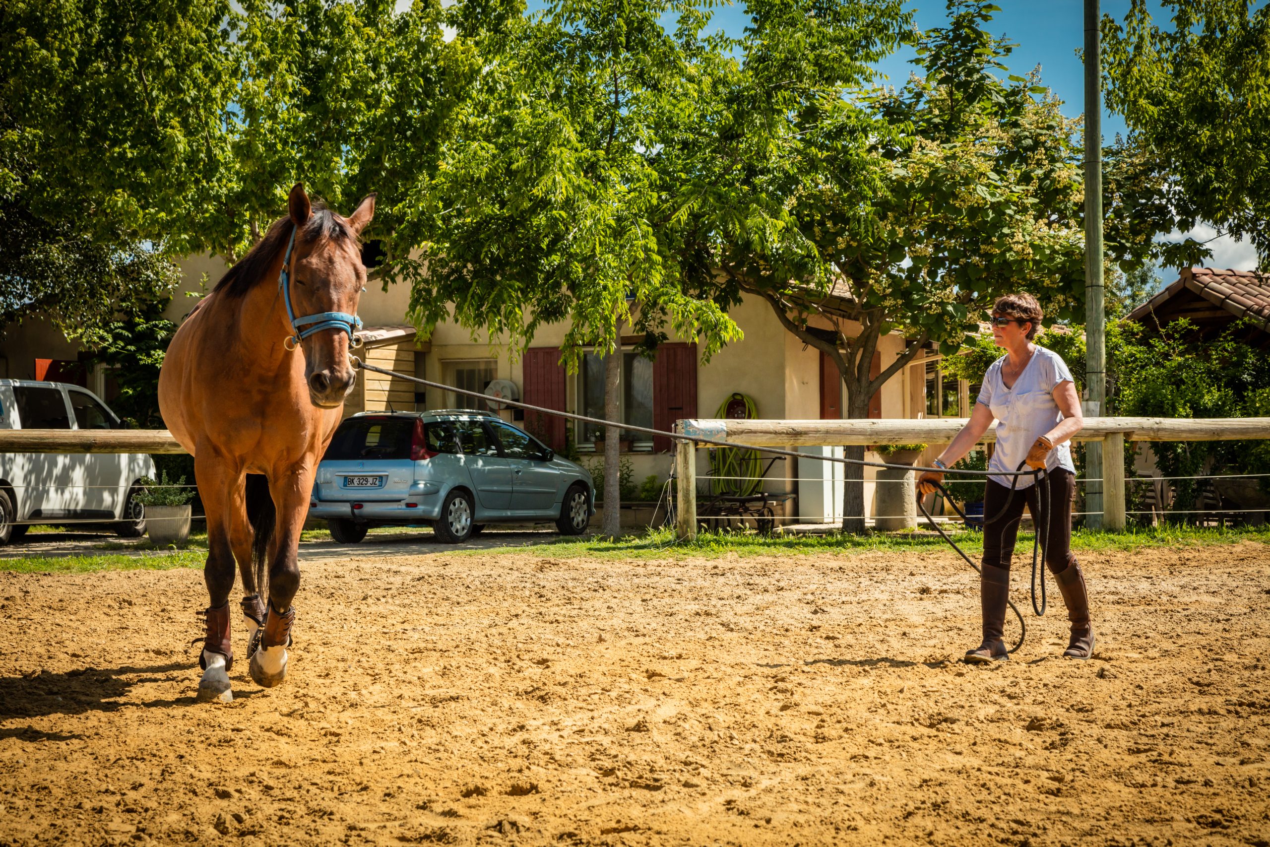 Cours d'équitation au centre équestre Pouget